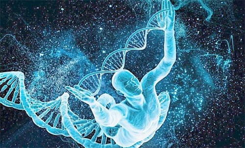 第三代试管婴儿可以筛查哪些遗传病